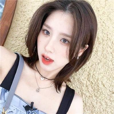 羊与钢的森林